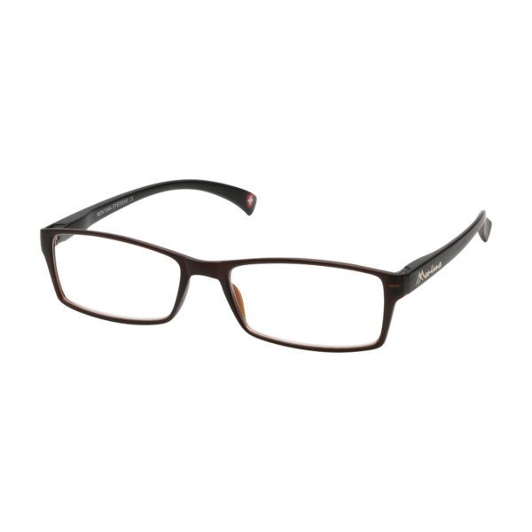 BROWN READING GLASSES